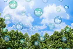 Tree canopy against a sky background with oxygen O2 and carbon dioxide CO2 molecules - Carbon dioxide absorption and oxygen release concept