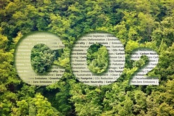 CO2 Net-Zero Emission - Carbon Neutrality concept against a forest with keywords