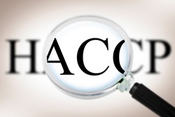Focus on HACCP law - Hazard Analysis and Critical Control Points - Food Safety and Quality Control in food industry - concept with a magnifying glass 