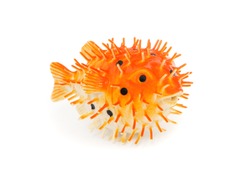 Rubber toy for relaxation fugu fish isolated on white background side view