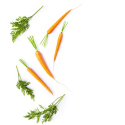 Fresh carrots and carrot stalks on white background; flat lay; organic veggetables