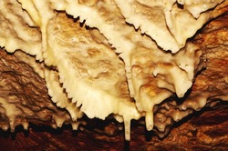 Speleothem: cave draperies. Cave city, kentucky, USA