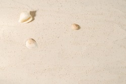 Sand with shells. Blank sand background to showcase beauty products, food, recreation, layout, horizontal image