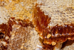Gold honey in honeycomb closeup. Bee products with fresh honeycomb, honey products by organic natural ingredients concept