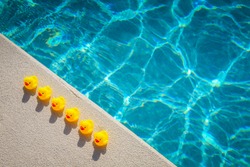 Rubber ducks basking in the sunshine at a swimming pool. Pefect for the business saying 'get your ducks in a row'.88