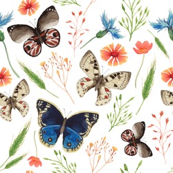 Watercolor natural pattern with field herbs and butterfly. Seamless texture with floral and herbal elements, spikelet, various butterfly. Vector hand drawn background