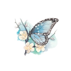 Watercolor blue butterfly on blossom plum tree branch. Vector artistic illustration with flowers and butterfly. 
