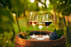 Glasses of white, pink and red wine on an old wooden barrel in the vineyard
