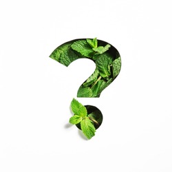 Question punctuation mark of green mint natural leaf and cut paper isolated on white. Peppermint leaves font typeface