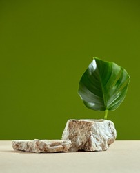 Stone podium, tropical leaf for natural cosmetics presentation on green background. Pedestal for spa beauty products
