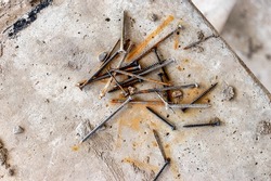 Nails and self-tapping screws on concrete at a construction site. Rust streaks on a concrete surface. Hardware on a gray background. Industrial and industrial background