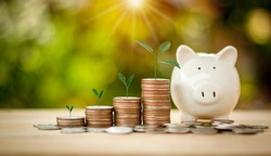 Business Financial and Saving Money concept.Money coin stack for growing with piggy bank,income growing in the future with sun light bokeh background.