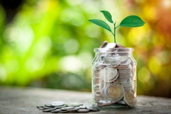 Saving Money concept for Business, Financial and Investment. Plant is growing in a jar with coins. Concept of collecting small items for make money in the future with sun light bokeh background.
