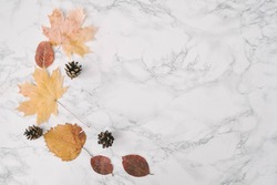 Autum composition on marble backgroun with leaves and cone
