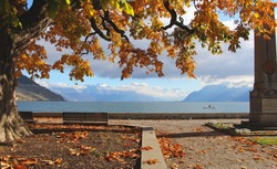 Autumn tree canopy looking out over lake and mountains in Cully, Switzerland. Autumn leaves falling on floor. Oranges and blues. Bench looking out over the lake.