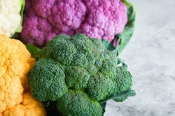 Colorfu cauliflower. Various sort of cauliflower on gray concrete background. Purple, yellow, white and green color cabbages. Broccoli and Romanesco. Agricultural harvest. Mock up. 
