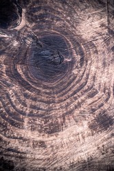 Monotone wood grain texture material