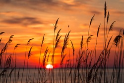 Peaceful Chesapeake Bay Sunrise in Calvert County, Maryland.