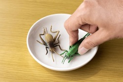 Two toy insects on a plate and a man's hand. Insect food image