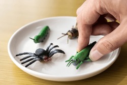 Four toy insects on a plate and a man's hand. Insect food image