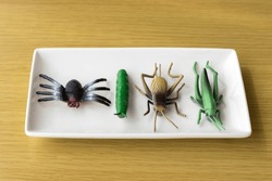 Four toy insects on a plate. Insect food image
