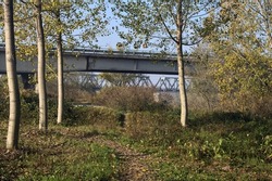 Bridge  seen from a trail in a grove