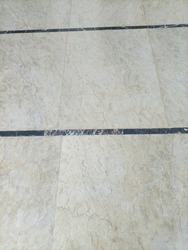 A polished  marble floor with black stripes