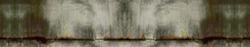 Abstract grunge background with border. Mold, moss, fungus on a concrete wall. Gray-green wall with mold texture. Copy space for design and text. Wide banner.