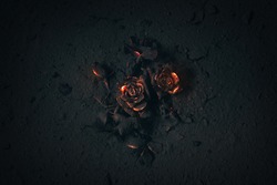 A rose buried in ashes with glowing embers.