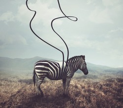 A surreal image of a zebra and two of its black stripes