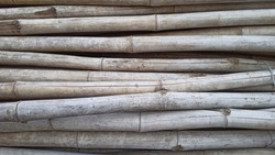 Loads of Bamboo wood Closeup Photos Bamboo wood is a type of construction material and Bamboo poles are used in Agricultural Fields of Tomato and others