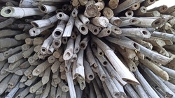 Loads of Bamboo wood Closeup Photos Bamboo wood is a type of construction material and Bamboo poles are used in Agricultural Fields of Tomato and others