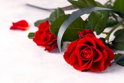 Two red roses with a black ribbon on a white background. Copy space. The concept of mourning and sorrow