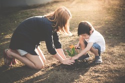 Asian mother and son planting young tree in black soil together