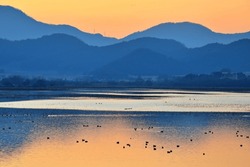Evening sunset and winter birds