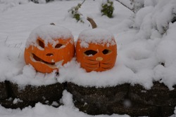 Snow on the pumpkins on a fall day giving a contrast between white and orange in a landscape view. 