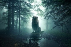 fantasy lion in a misty forest