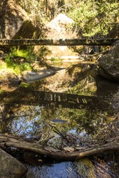 A small wooden bridge, part of a hiking trail, reflecting in the stream below, in an Afrotemprate Forrest in the Central Drakensberg Mountains of South Africa