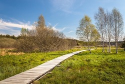 Landscape with a boardwalk - a wooden walkway in the wetlands around the Olsina pond in Sumava, Czech Republic