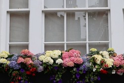 Flowers on the balcony in a typical London house