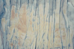 background texture of old grunge wood (plywood) with peeling off varnish