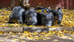 big black garbage bags with autumn leaves in the yard under the tree. golden leaves