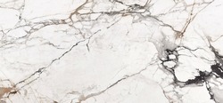 white marble pattern waxed finish natural veins image use for tile slab design