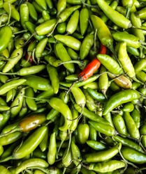 The store has kept green raw peppers in a basket. These are the peppers of the cultivated land.