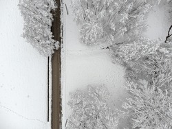    Winter path , trees covered with snow. Aerial view landscape.