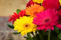 Mixed Gerberas pink yellow orange and red