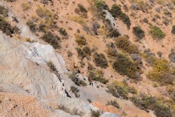 wild goats on the mountain in southern Spain, there are bushes and stones, goats are on the side of a mountain