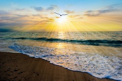 A Bird Silhouette is Flying Towards the Light As Sun Rays Emanate From the Ocean Sunset Sky