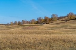 The hills are covered with yellow dry grass in autumn. Trees grow on the hills. Clear blue sky.