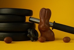 Dumbbells barbell weight plate discs and chocolate Easter bunny. Healthy fitness lifestyle composition. Gym workout and training fit concept. Cheat day temptation vs sticking to diet.
